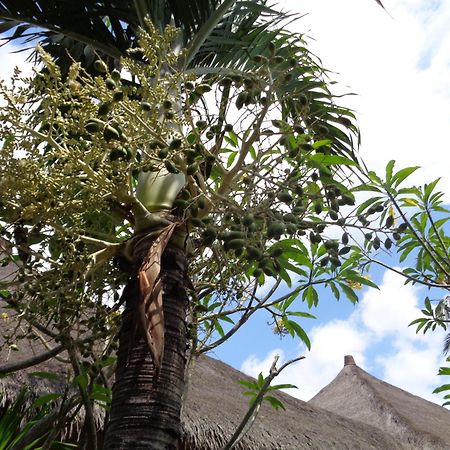 Mushroom Garden Villas Lembongan Εξωτερικό φωτογραφία
